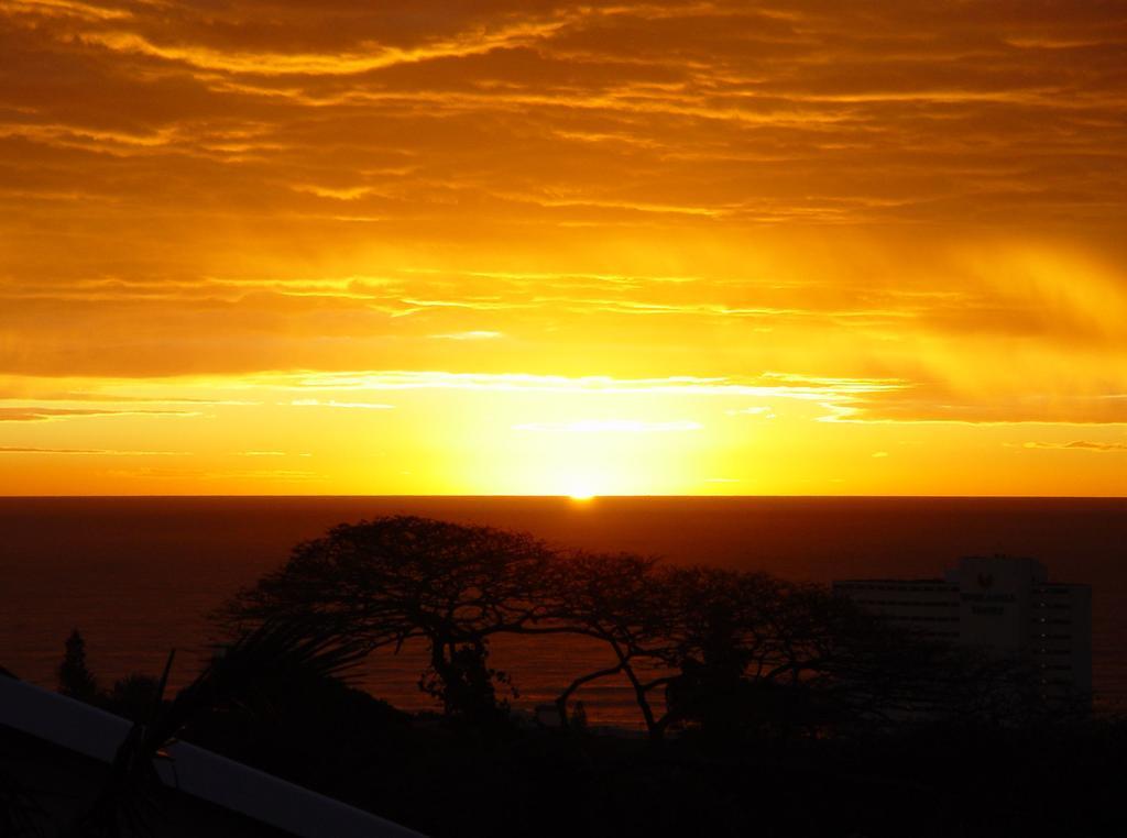 Umbrella Tree B&B Durban Zewnętrze zdjęcie
