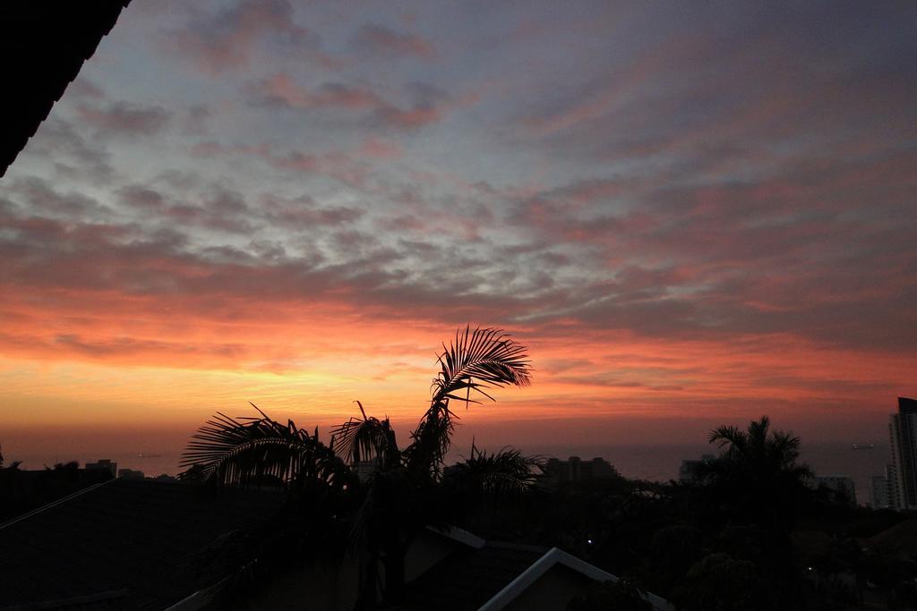 Umbrella Tree B&B Durban Zewnętrze zdjęcie
